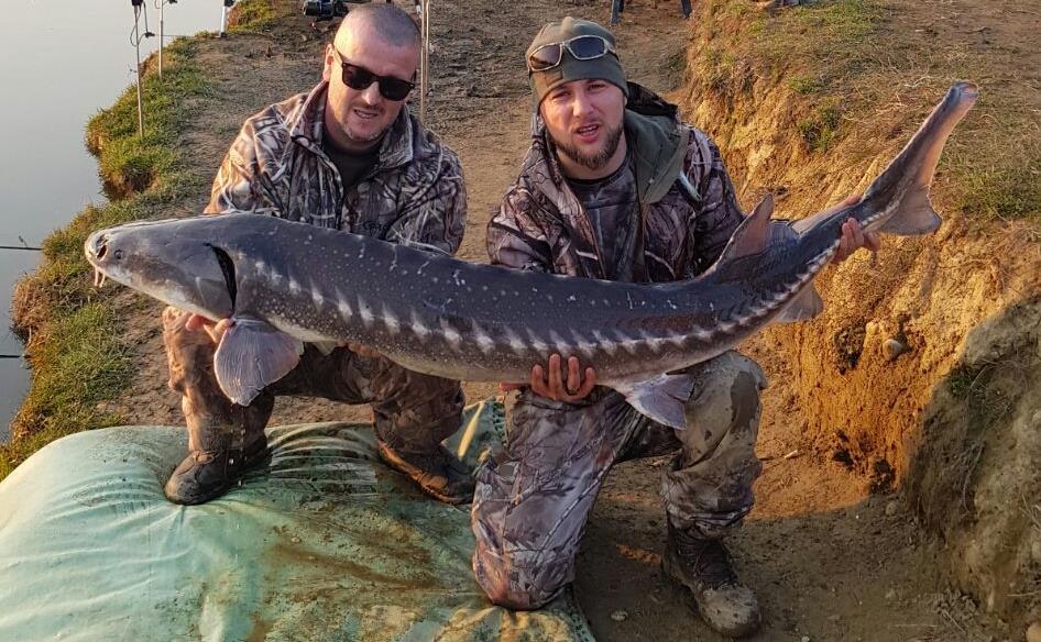 Gioia Lake - img-20180215-wa0048-1.jpg